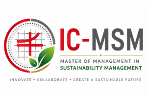 logo IC_MSM